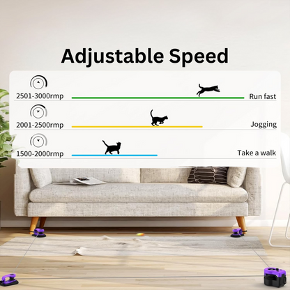 WhollyHealthy™ Cat Exerciser